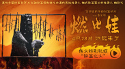 成全免费高清观看在线电视剧大全