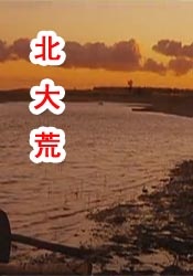 儿子艹妈