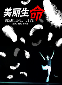 欧美视频一区