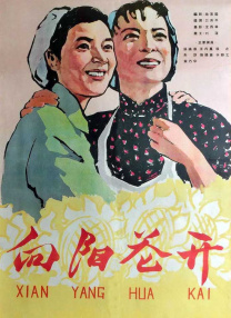 成人试看