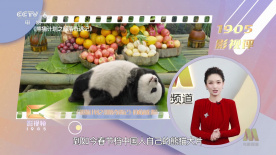 台湾佬中文娱乐网11xxoo福利